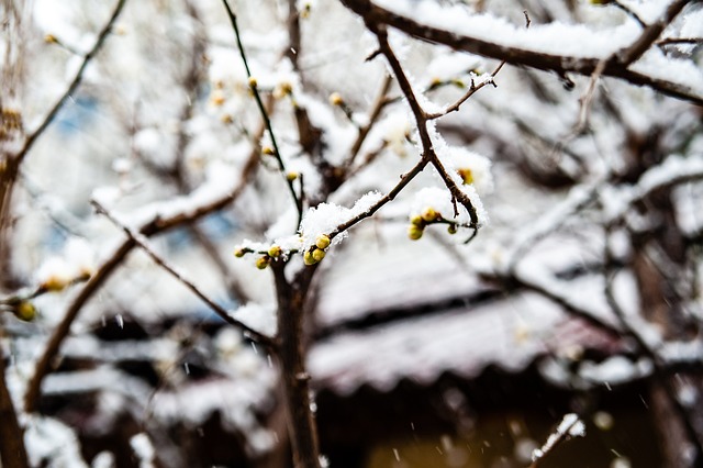 对比赛节奏